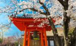 Aulas particulares de japonês na casa de um professor no Japão